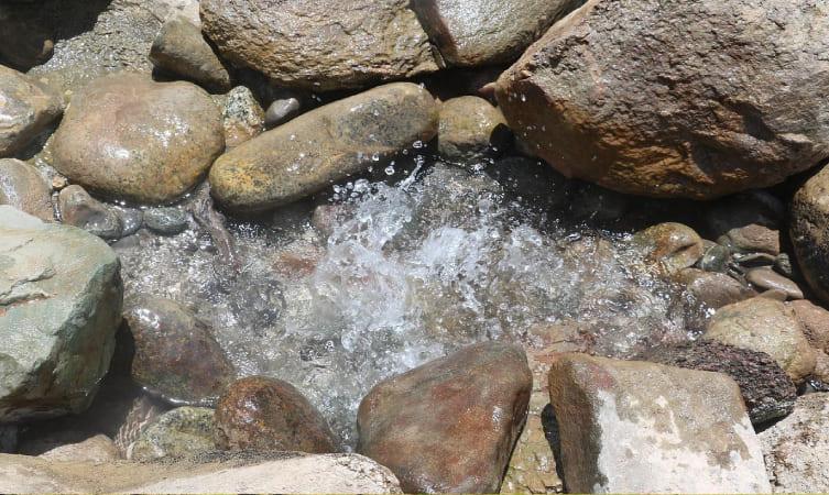 Chumathang Hot Springs image
